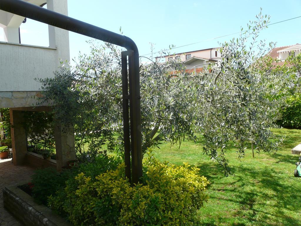 Apartments Mirela Porec Exterior photo